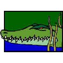 Crocodile