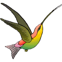 Hummingbird