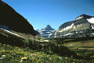 Mt. Reynolds from Logan Pass on Going to the Sun Road, Glacier National Park